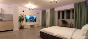 Inginerilor Tei Studio by ACME RENT